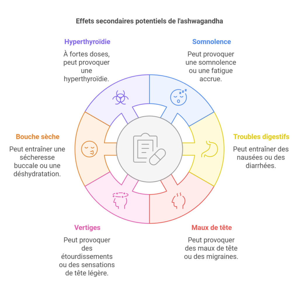 Liste des effets secondaires potentiels de l'ashwagandha :